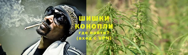 твердый Ладушкин