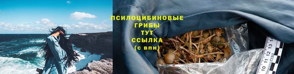 экстази Дмитриев