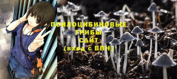 твердый Ладушкин