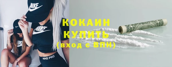 твердый Ладушкин
